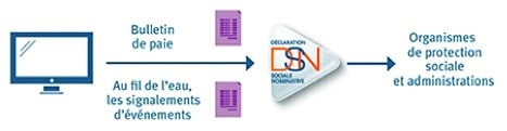 dsn-fig-1