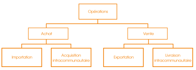 Orga-operations-intracommunautaires
